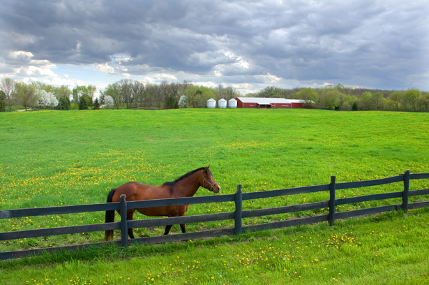 Alberta Farm Outbuildings Insurance Company - MMI Insurance