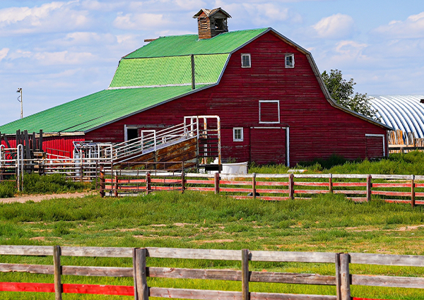 Protecting your farm: How to handle temperature fluctuations