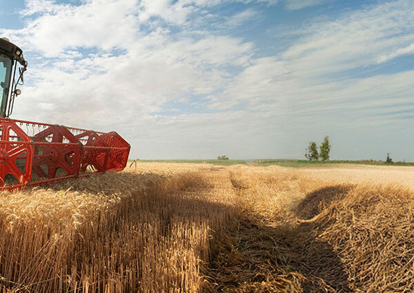 Rock & Root Coverage for Farm Machinery: Protecting Your Combine From Costly Damage